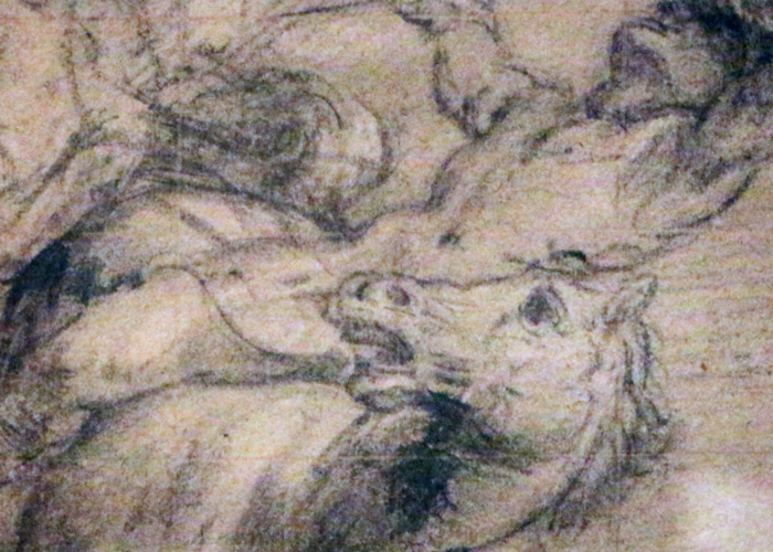 Horse drawing